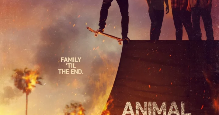 По волчьим законам По волчьим законам