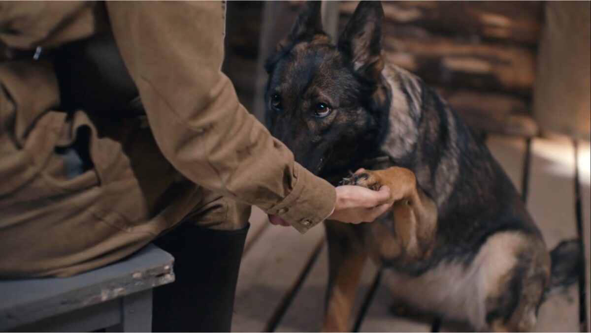 Солдат по кличке Рекс